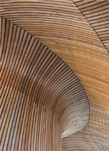 Undulating wooden canopy in modern architecture