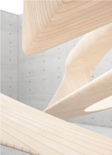 Interior design with fluid curved wall contours
